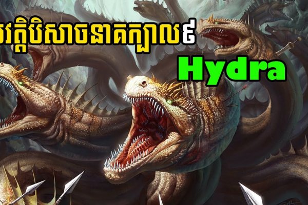 Darknet ссылки