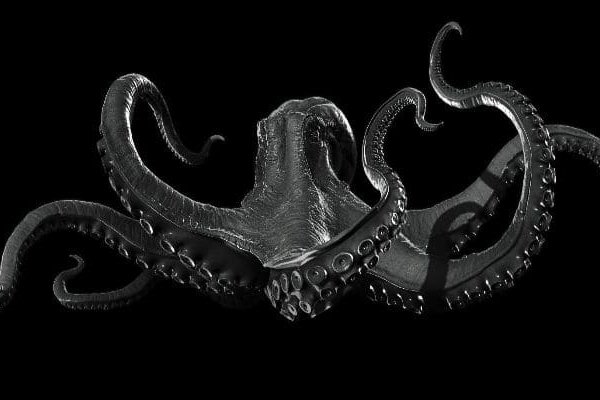 Kraken17at