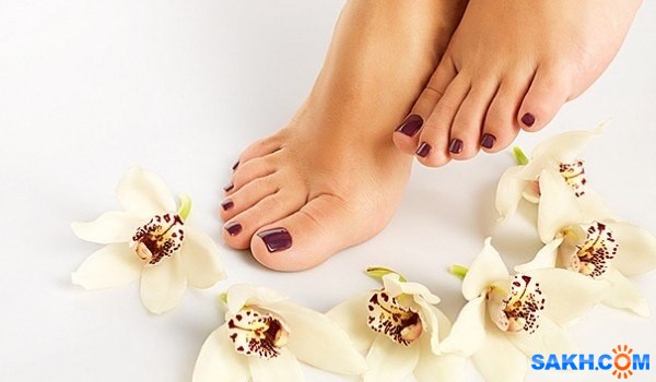 Как восстановить кракен